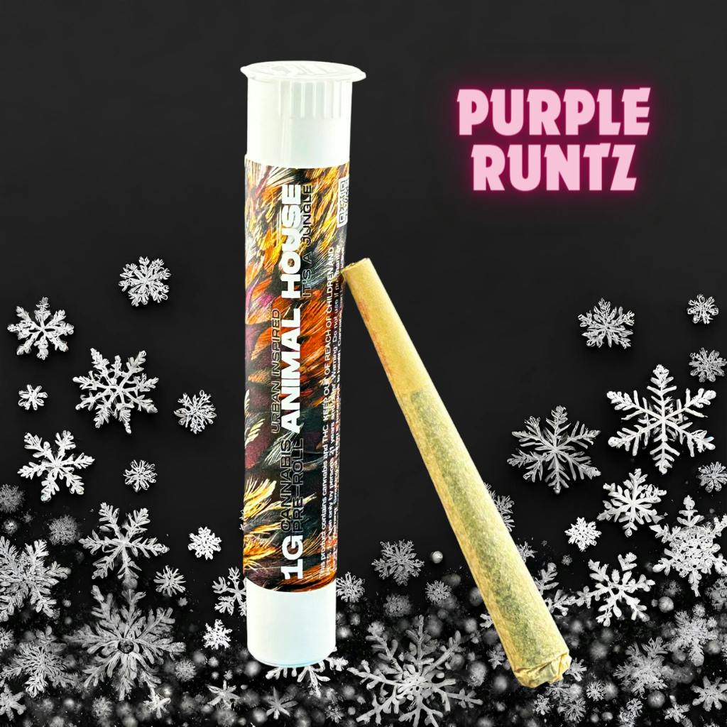 Purple Runtz - Pre Roll