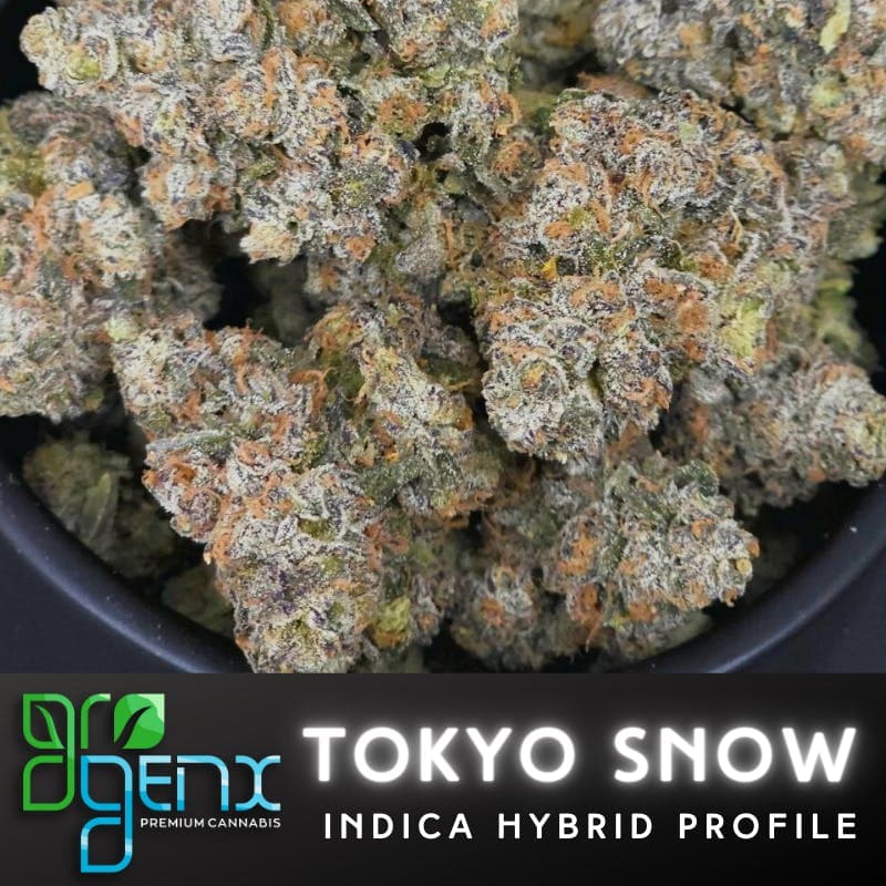 GroGenx - FLOWER (PREMIUM) - TOKYO SNOW