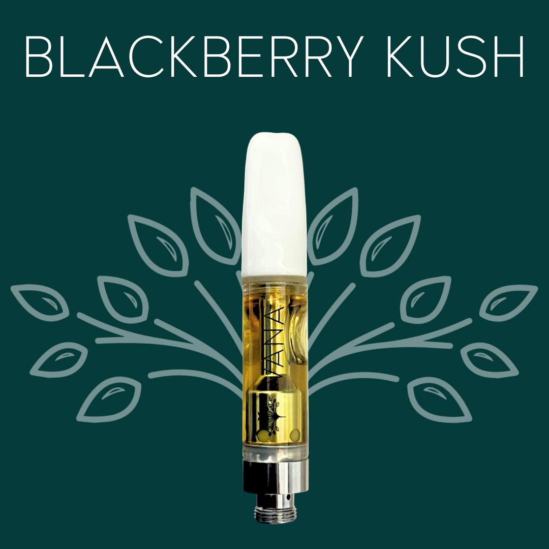 Blackberry Kush - 1 Gram Cartridge
