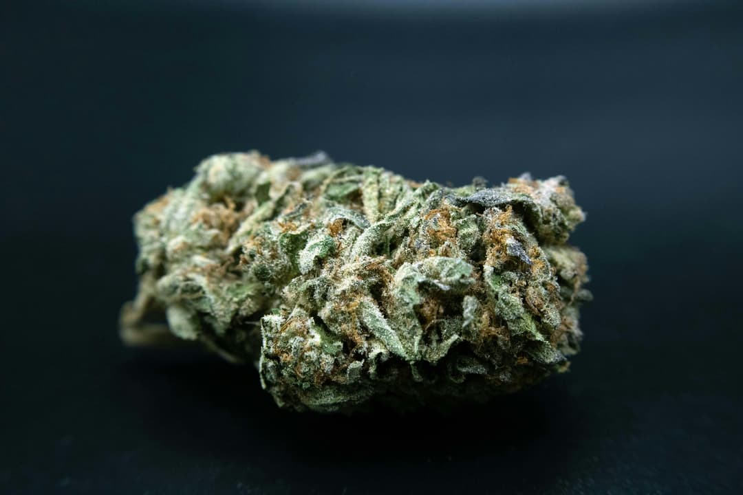 Lemon Cherry Gelato 1/2Ounce/14Grams(31%THC, Hybrid)