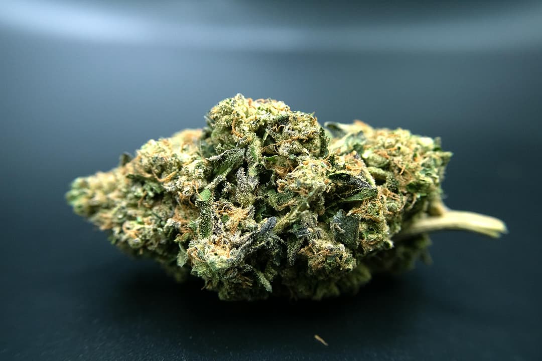 Delicata Grapes 1/4 Ounce/7Grams(31%THC, Indica)