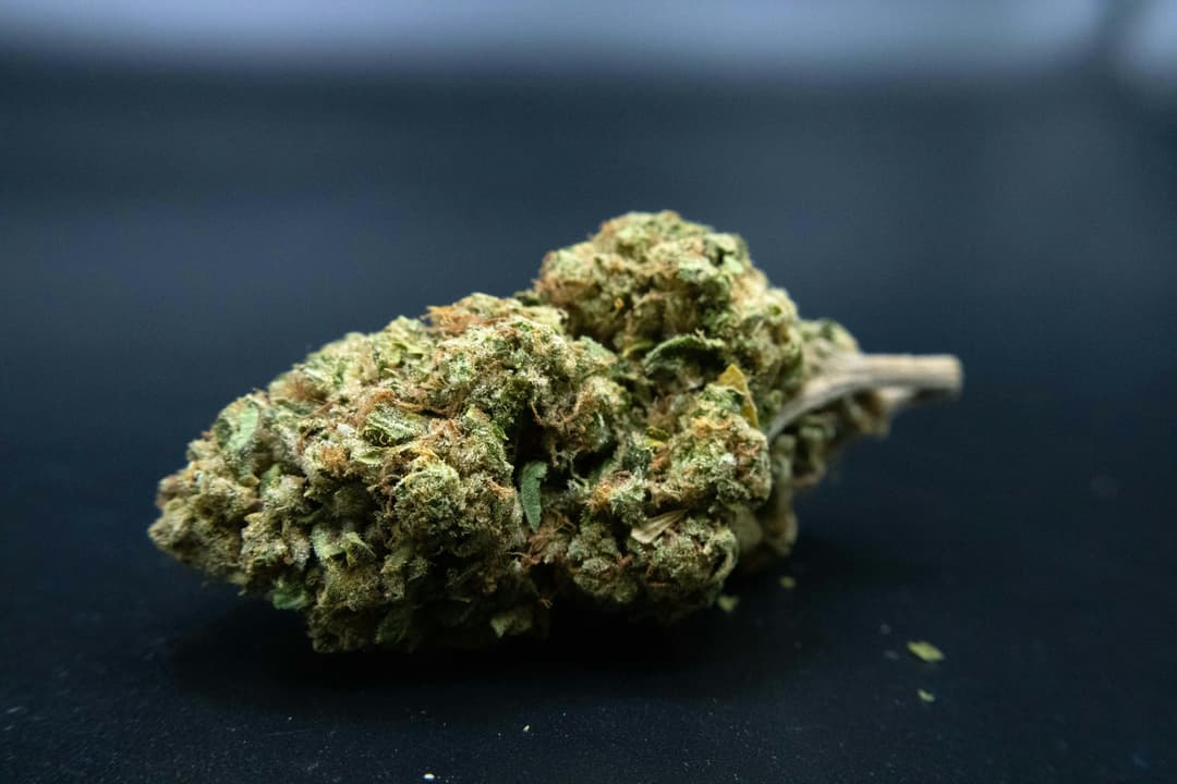 Doc OG 1/2 Ounce/14Grams(28%THC, Indica)