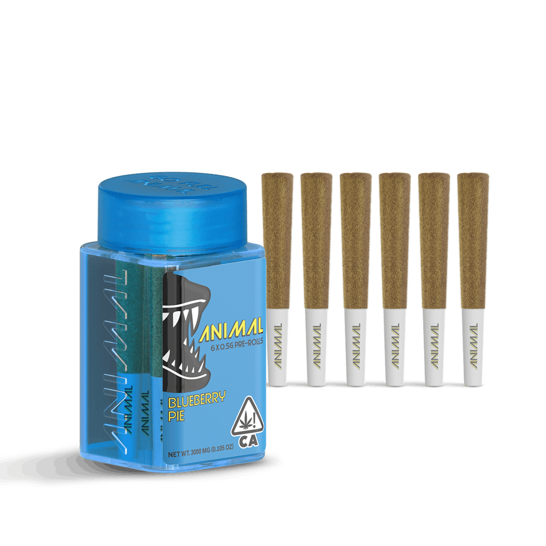 ANIMAL - 6x .5G SUPER INFUSED PRE ROLL PACK - BLUEBERRY PIE