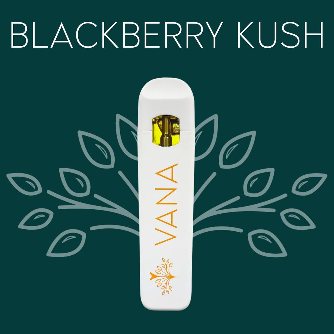 Blackberry Kush - 1 Gram Disposable