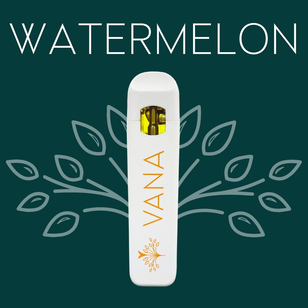 Watermelon - 1 Gram Disposable