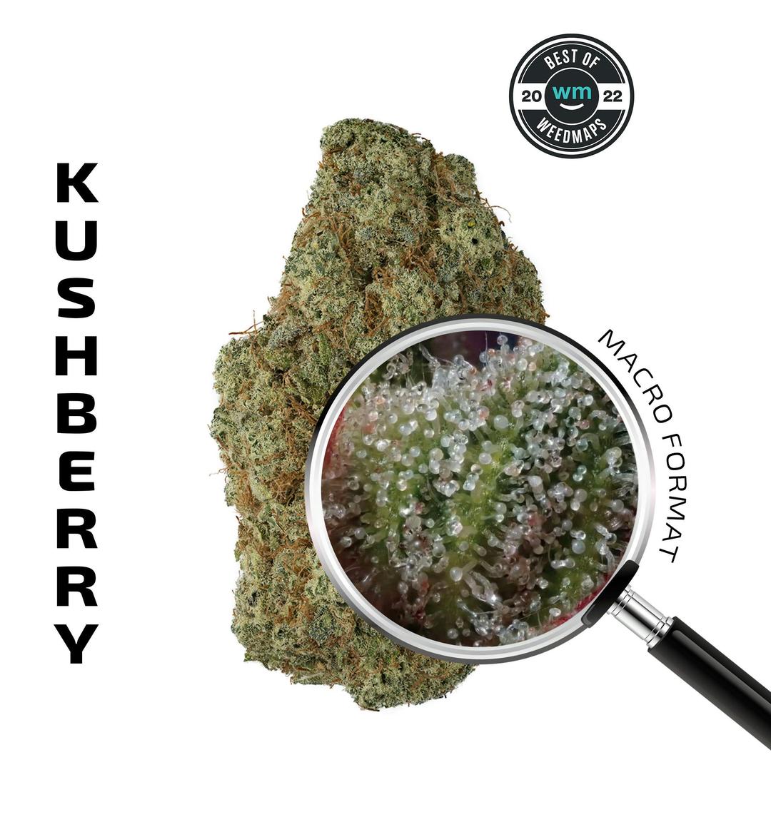 KUSHBERRY (Indica) — 3.54g Premium Flower