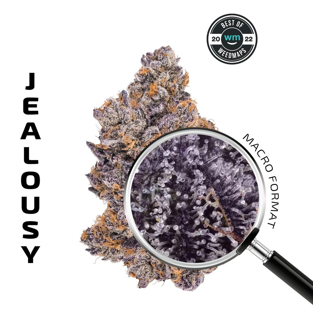 JEALOUSY (Hybrid) — 3.54g Premium Flower