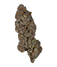 Gelateria Flower by Glorious Cannabis Co.