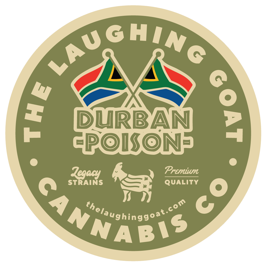 DURBAN POISON | SMALL BUDS