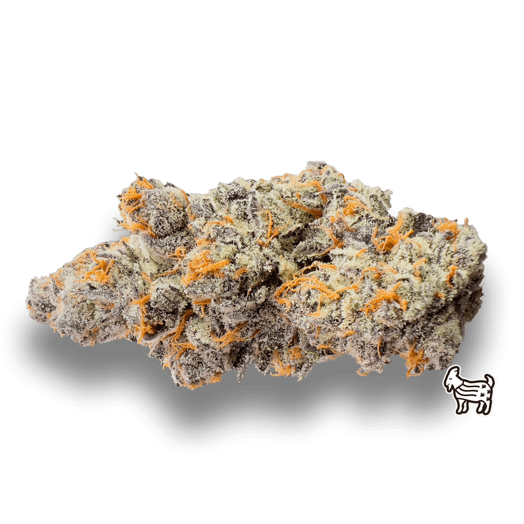 FREON | BIG BUDS