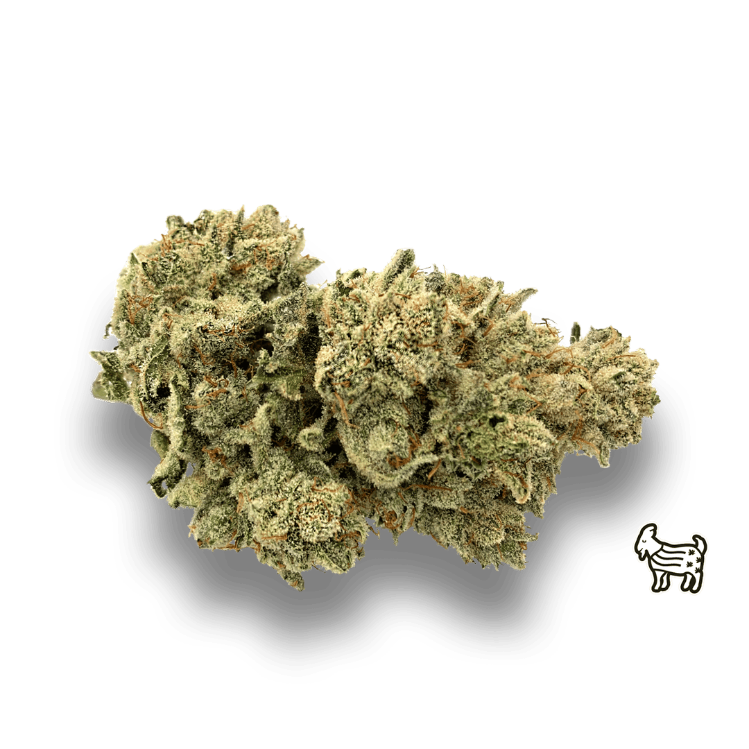 GG4 / ORIGINAL GLUE / GORILLA GLUE