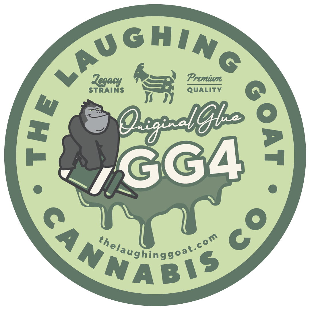 GG4 / ORIGINAL GLUE / GORILLA GLUE | SMALL BUDS
