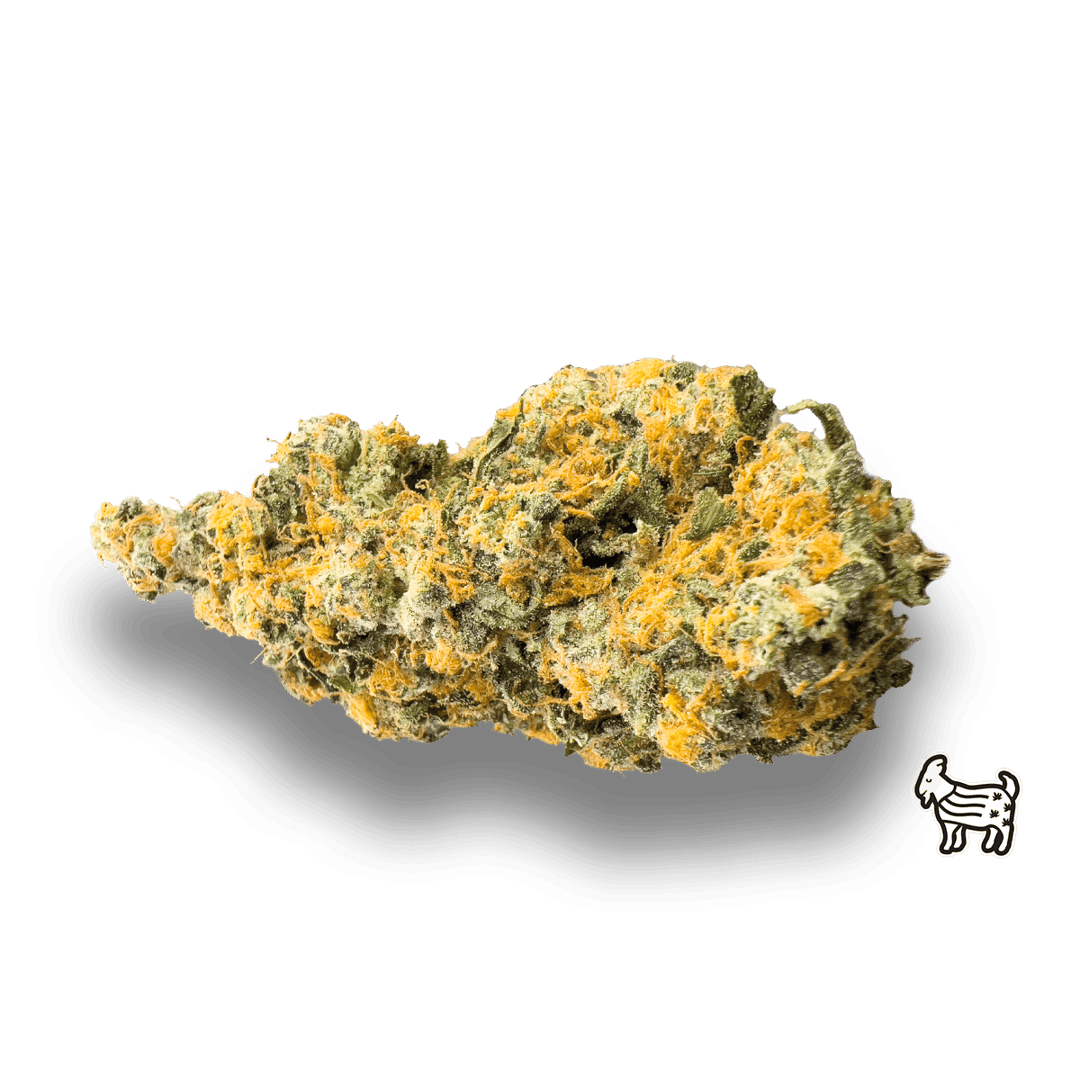 GMOSKI | BIG BUDS