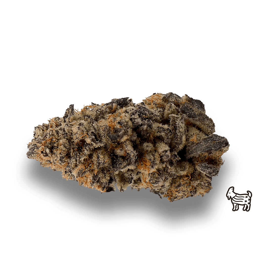 PURPLE PUNCH | BIG BUDS