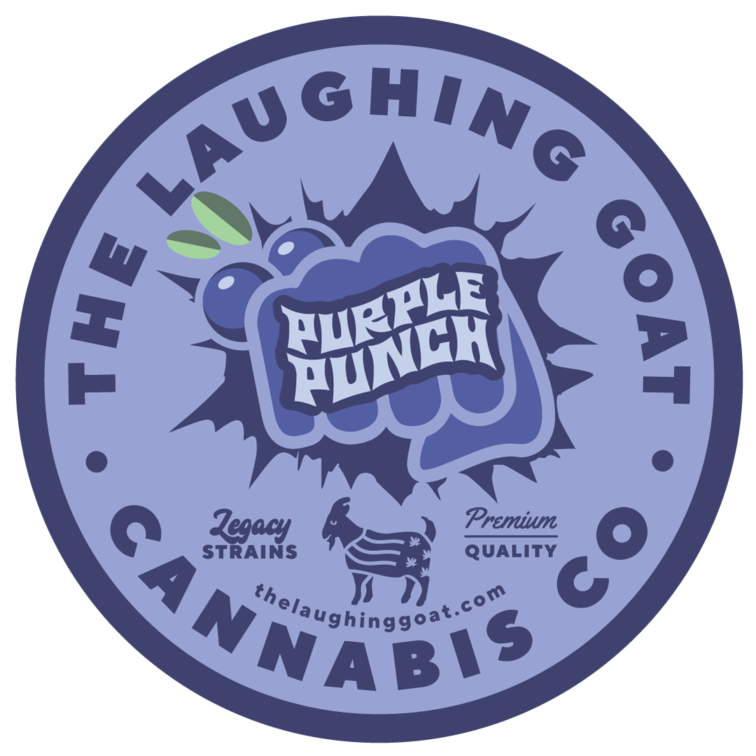 PURPLE PUNCH | SMALL BUDS