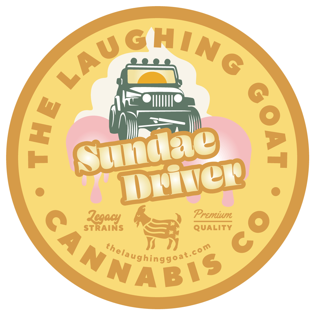 SUNDAE DRIVER | SMALL BUDS