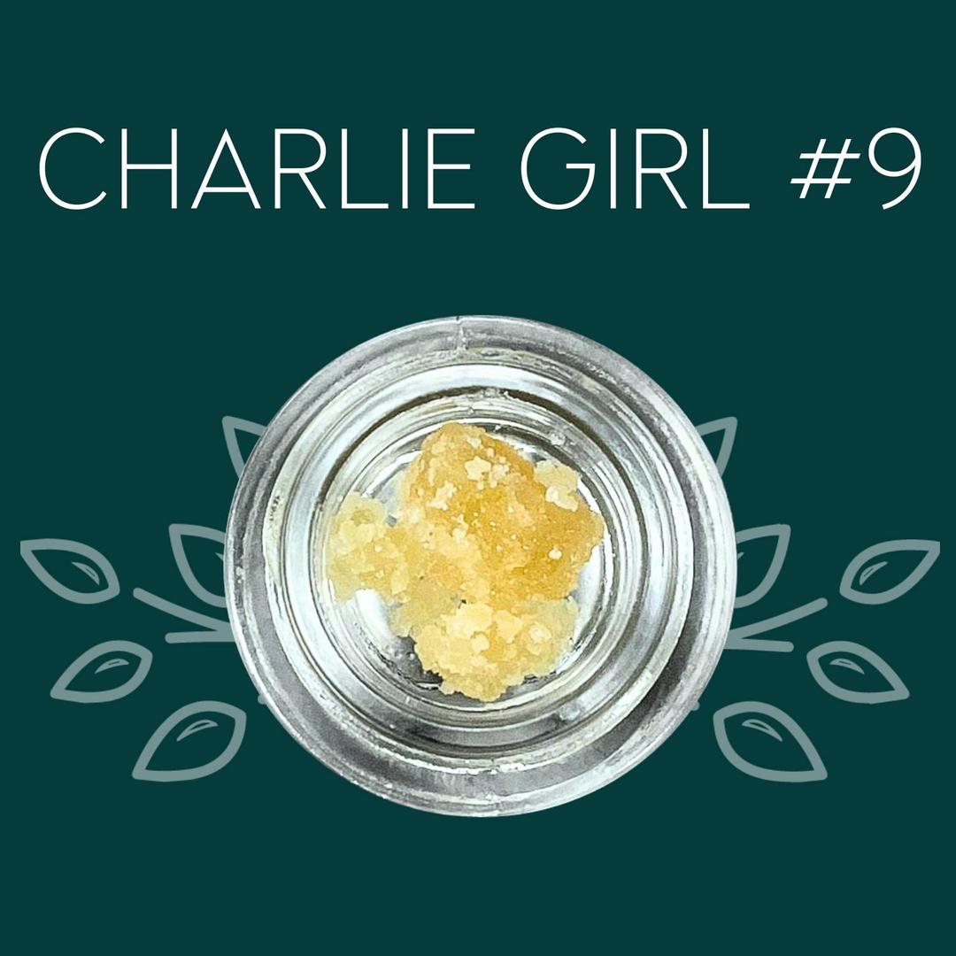 Charlie Girl #9 - 1 Gram Sugar