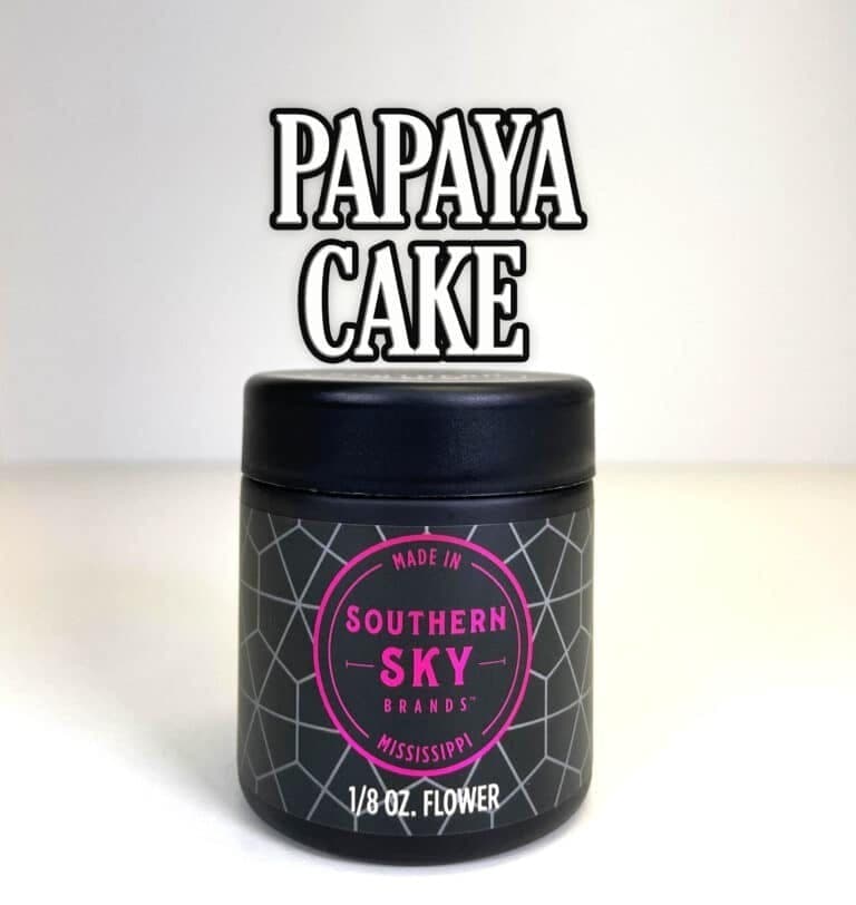 Papaya Cake