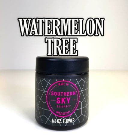 Watermelon Tree