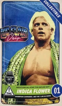 Ric Flair Drip Indica