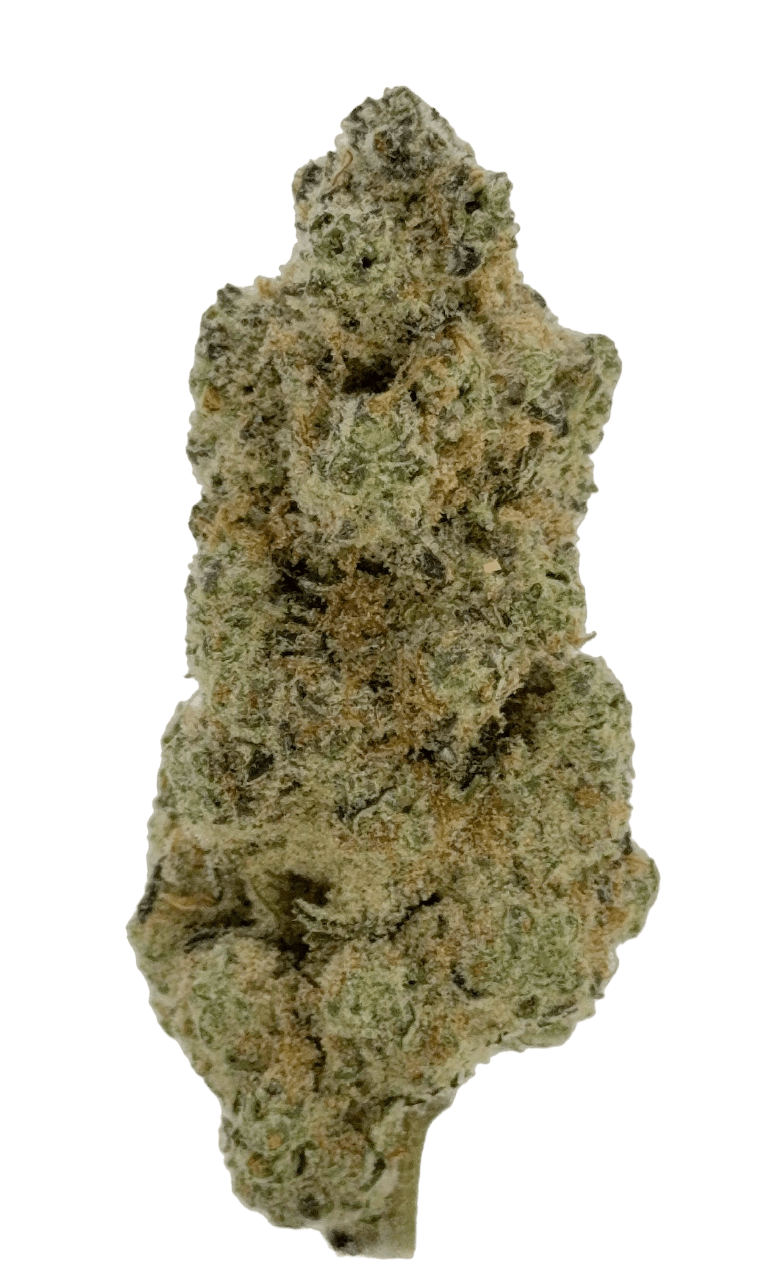 Platinum Garlic - 28g Prepackaged Smalls - Silver Therapeutics