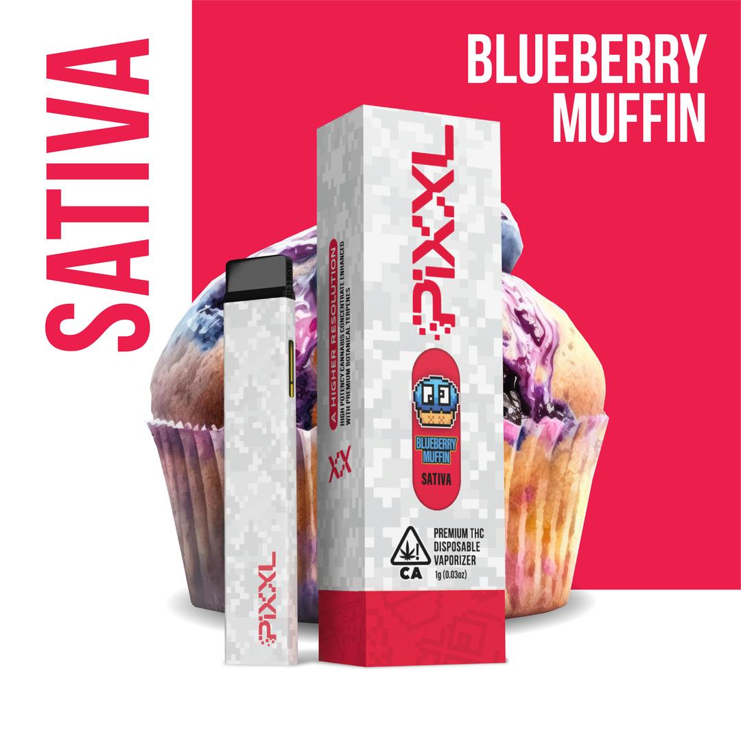 Blueberry Muffin