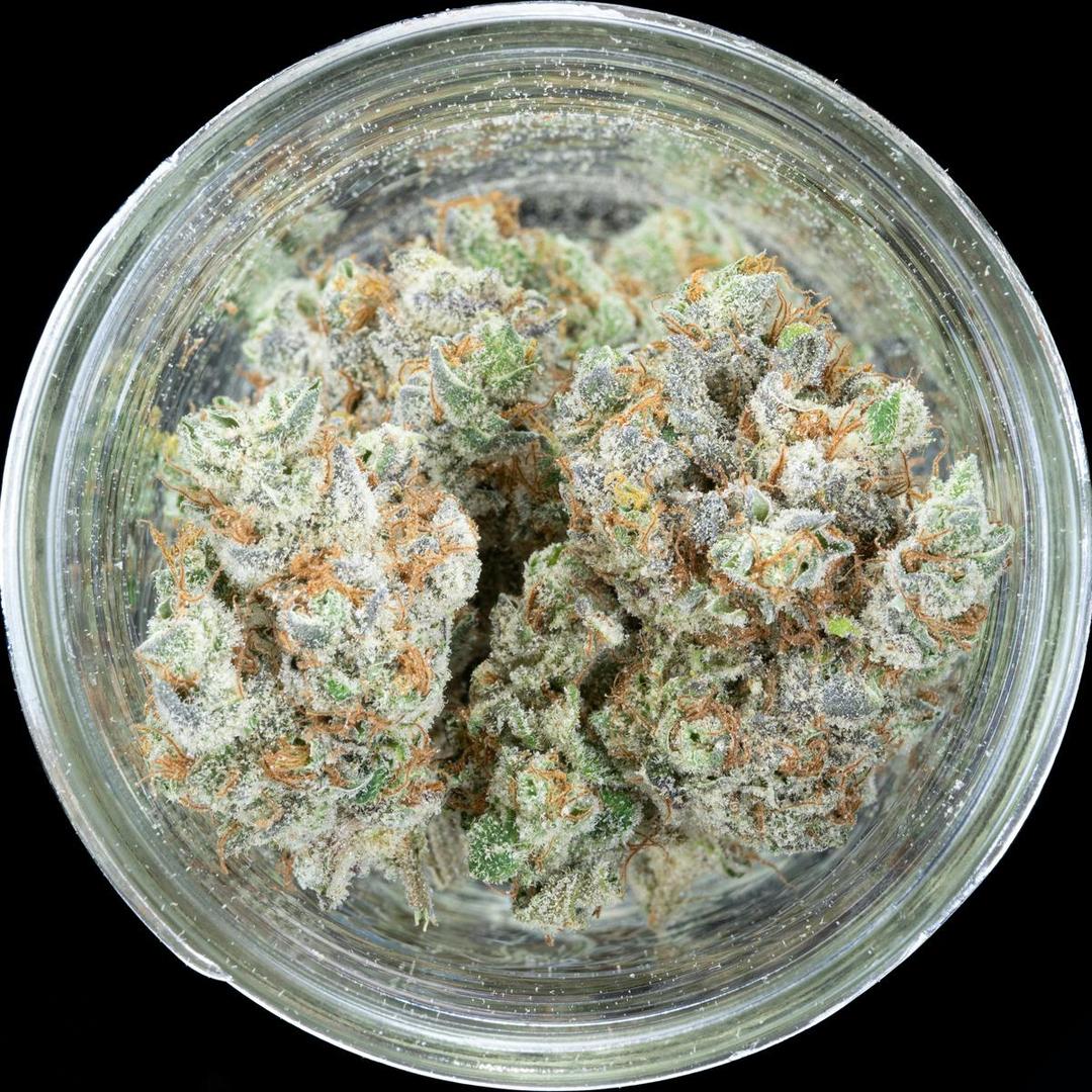 FRAKTAL - Laotian Kush
