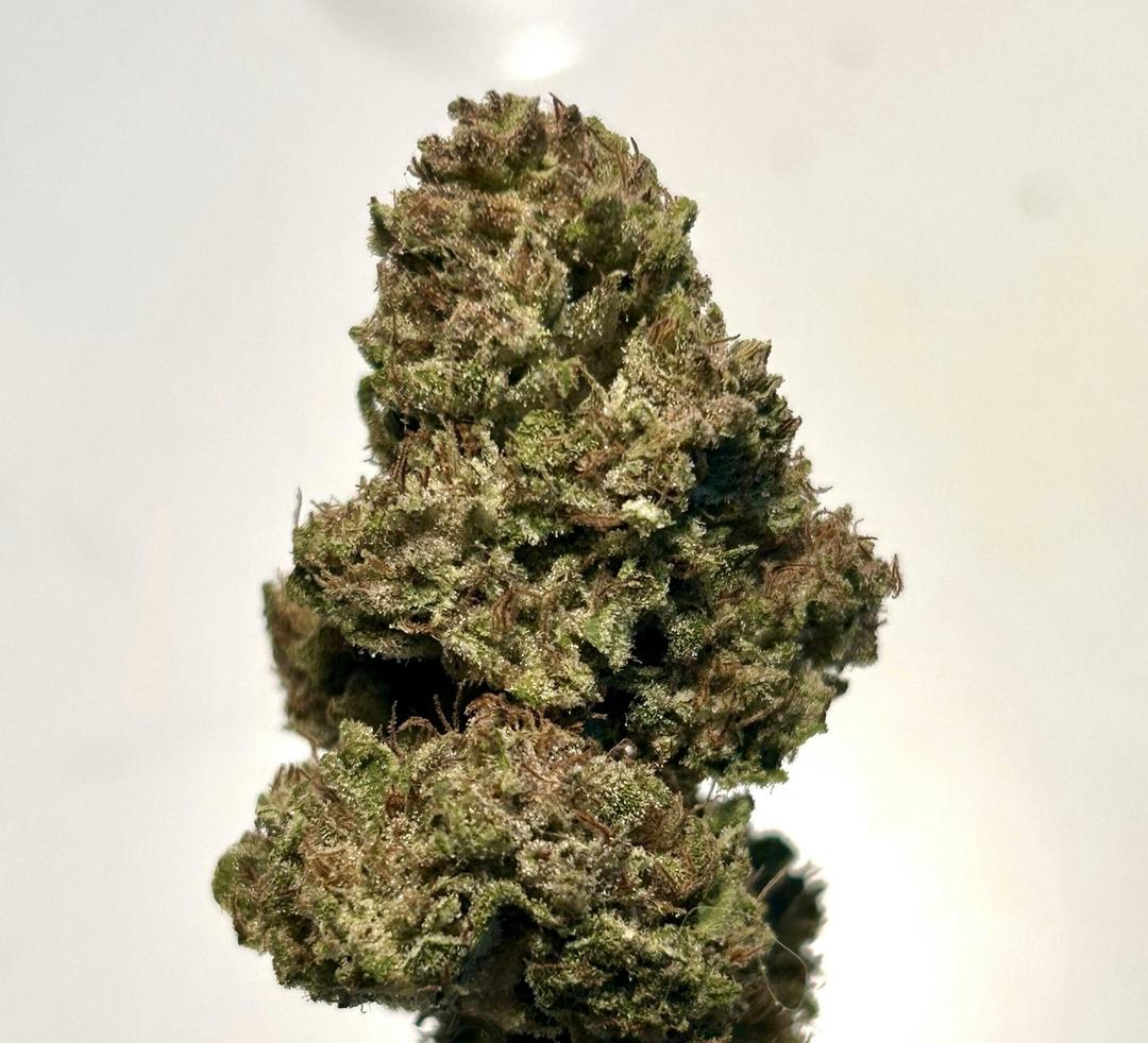 $100 Ounce of the Day - Ancient Orange