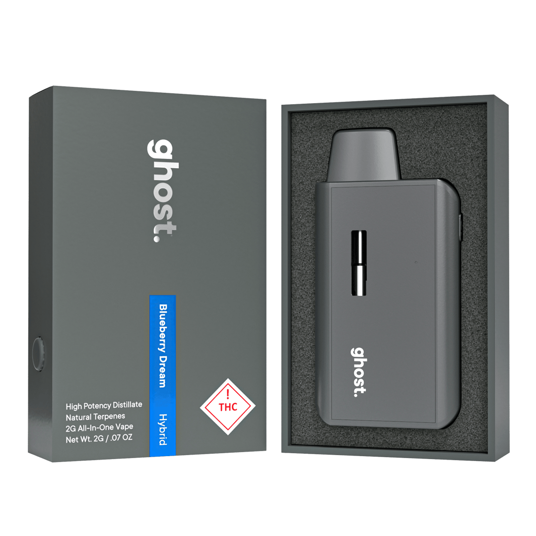 Blueberry Dream 2g All-In-One Vape