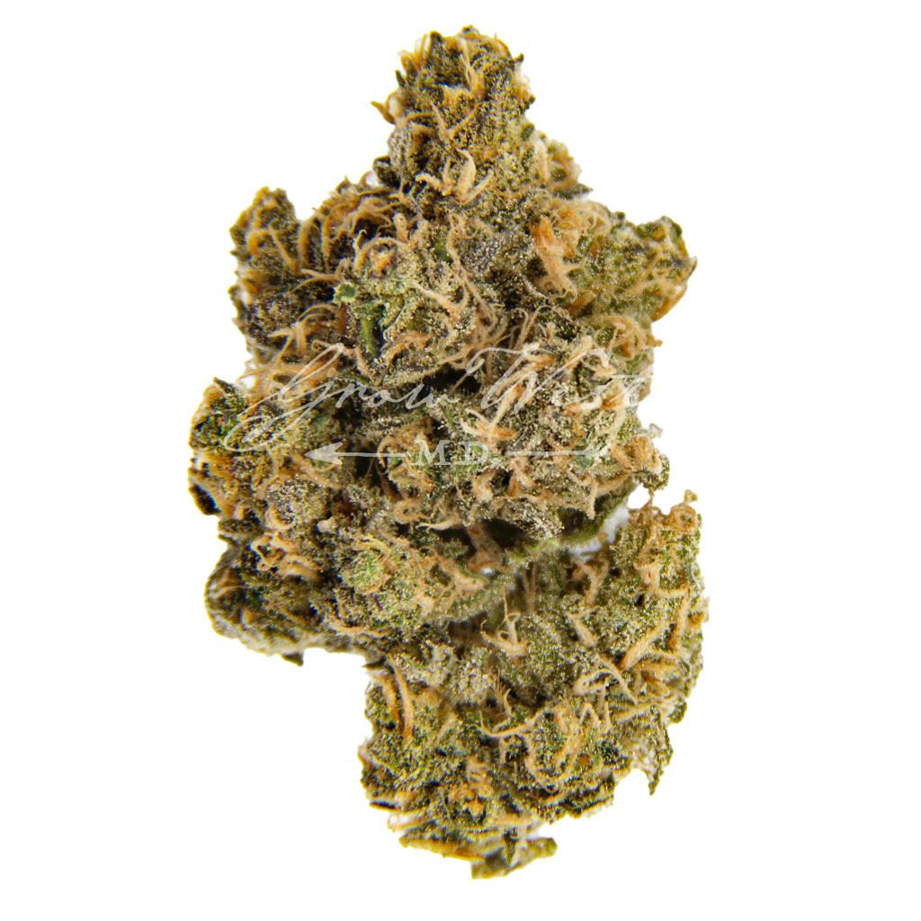 Blue Magoo | Gold | Trimmed | 3.5g