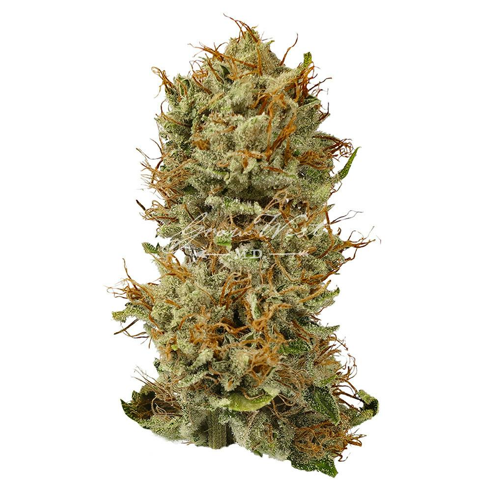 Thai'd Up | Premium | Hand-Trimmed | 3.5g