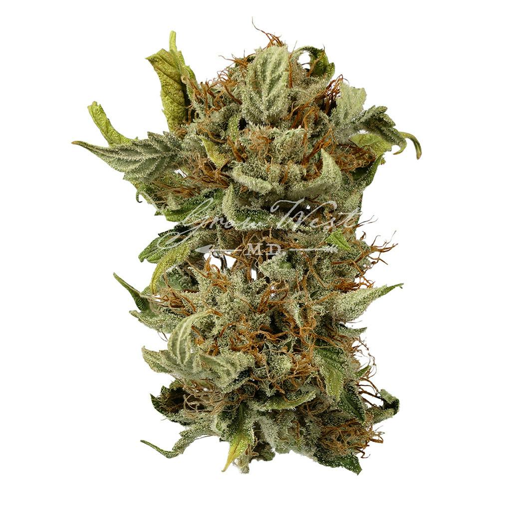 Thai'd Up | Silver | Untrimmed | 3.5g