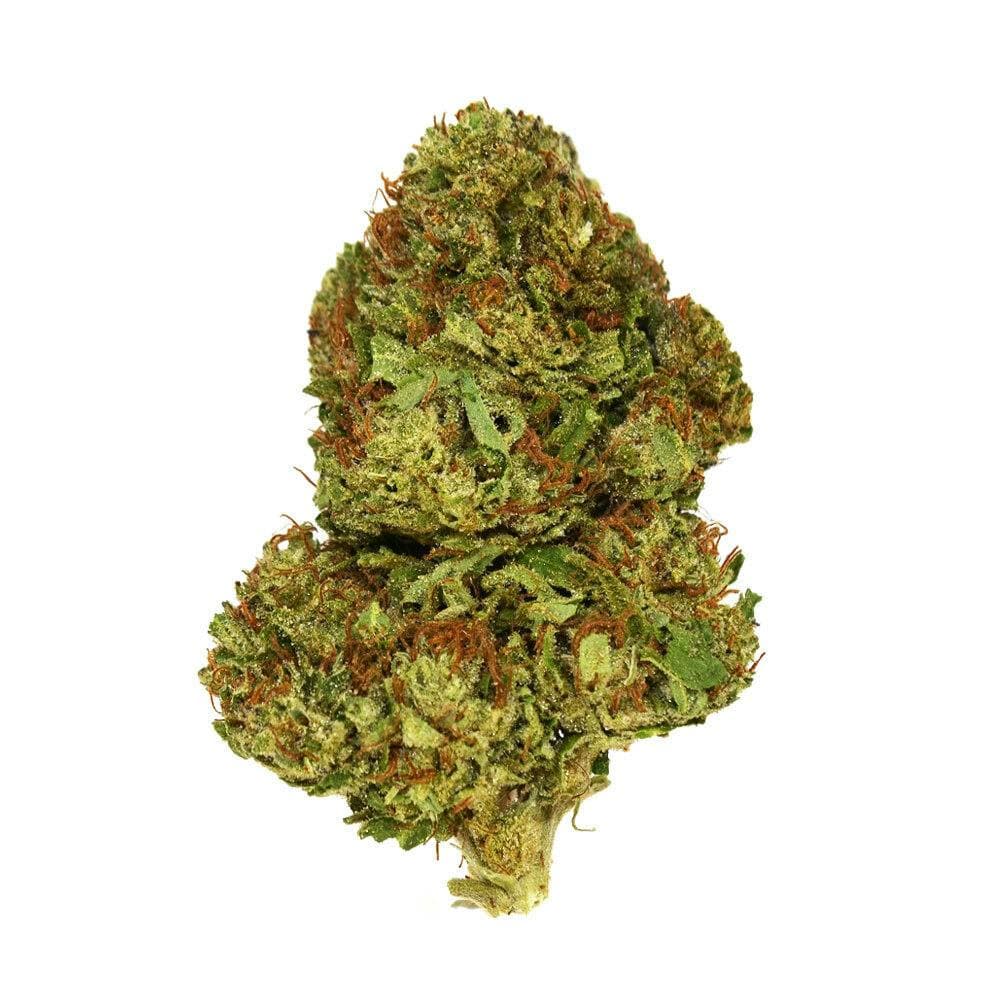 Exotix - Blue Gelato (H) - 14g