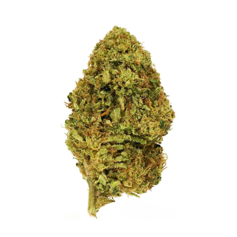 Exotix | Garlic Breath (I) | 14g