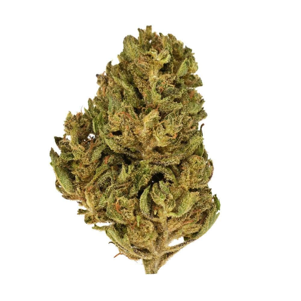 Eighthz | Fruity Pebbles (H) | 3.5g