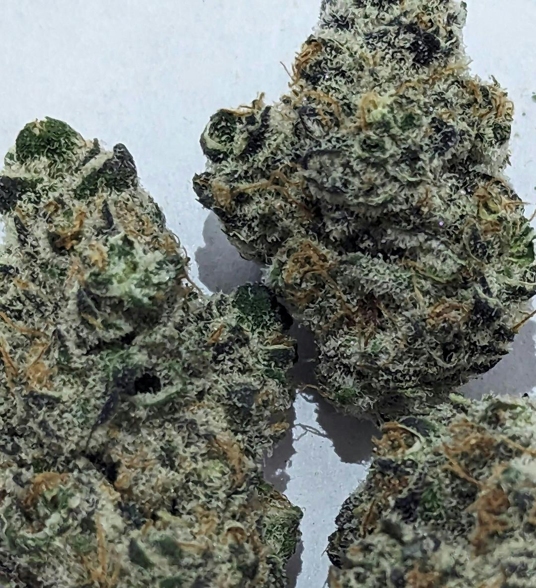 Banana Buttercup Flower [14g]