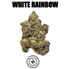 SD Strains "White Rainbow"