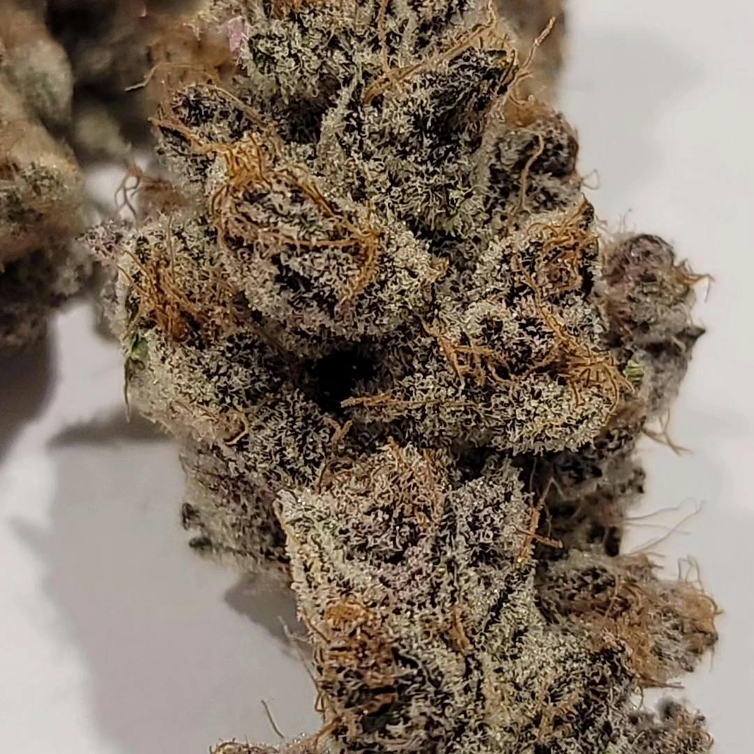 Point Break Flower [7g]