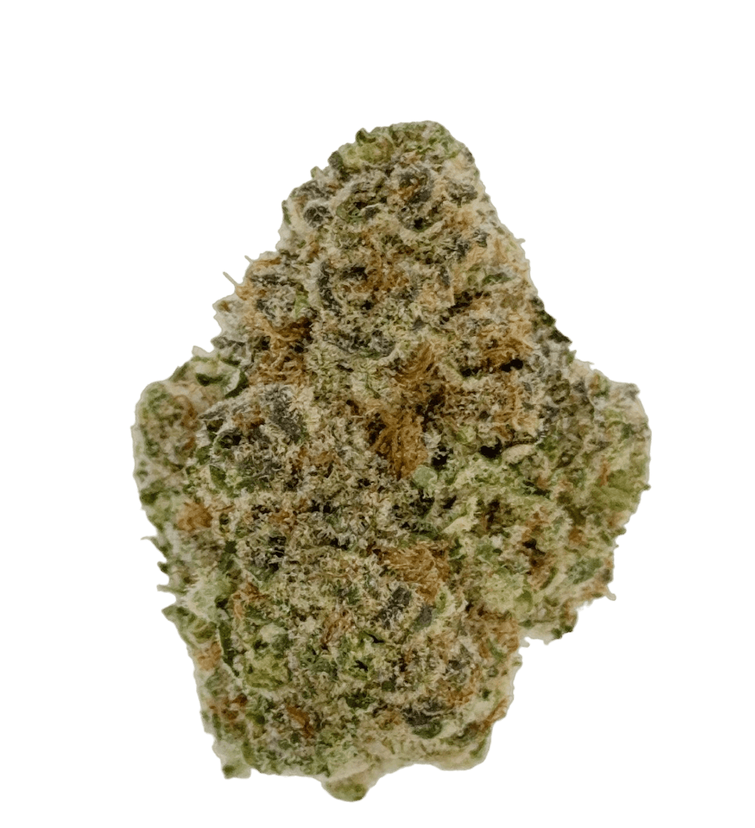 Mimosa - 28g Prepackaged Flower - Silver Therapeutics