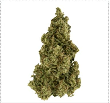 Exclusive - Fog DOG (I) - 28g