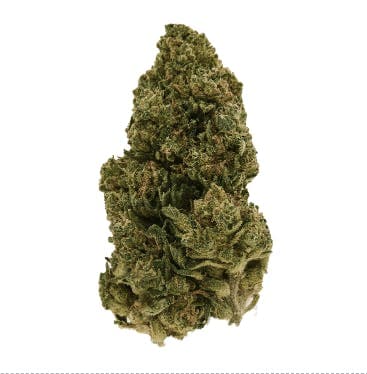 Exclusive - Fog Dog (H) - 28g
