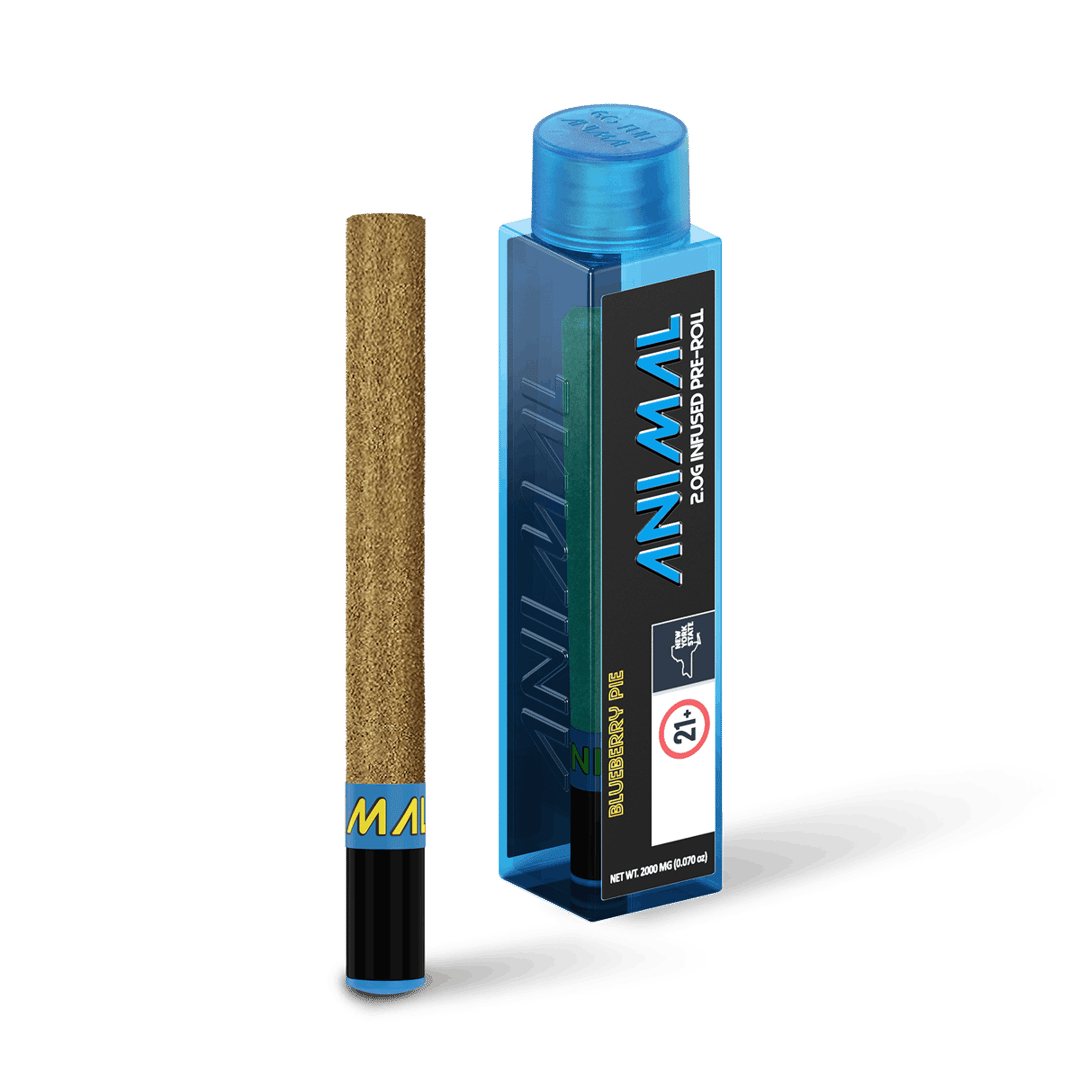 ANIMAL - 2G SUPER INFUSED PRE ROLL - BLUEBERRY PIE