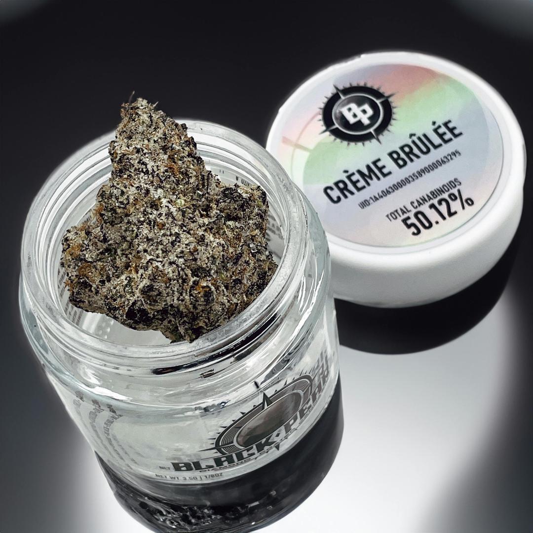 BLACK PEARL - Diamond Coated Indoor Flower - Crème Brûlée - 3.5g | 1/8oz