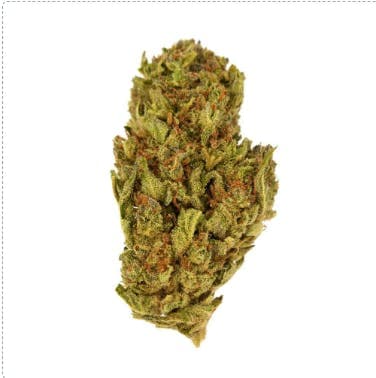 Exclusive - TriCross (H) - 28g