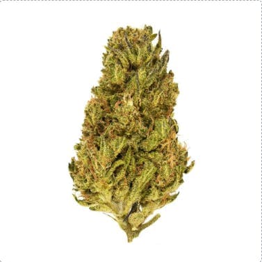 Exclusive - Face Fat (H) - 28g