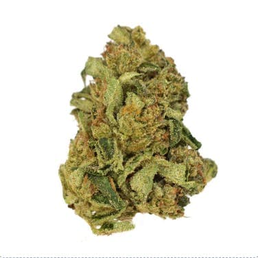 Exotix - Red Pop (H) - 14g