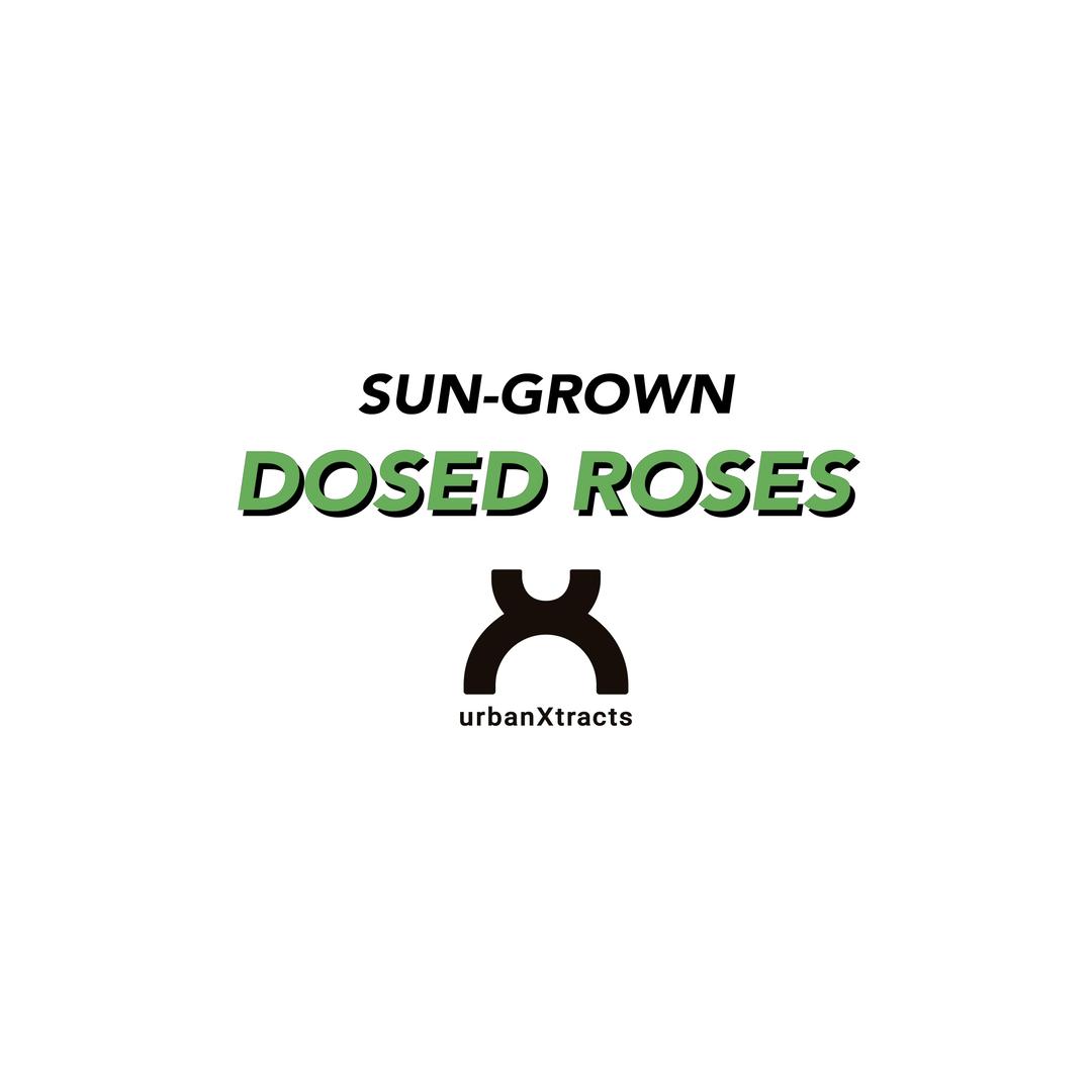 Dosed Roses - 3.5 G - Sun-Grown Flower