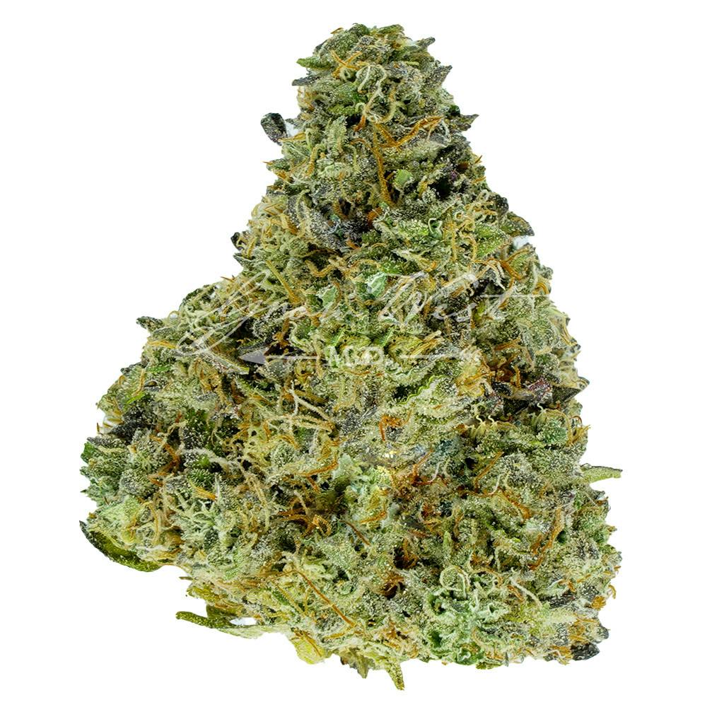 Malibu Cake | Gold | Trimmed | 3.5g
