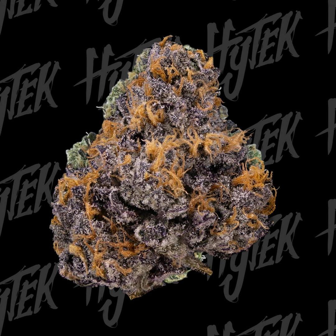 Hytek RS11 / Rainbow Sherbert Bulk Deli Flower
