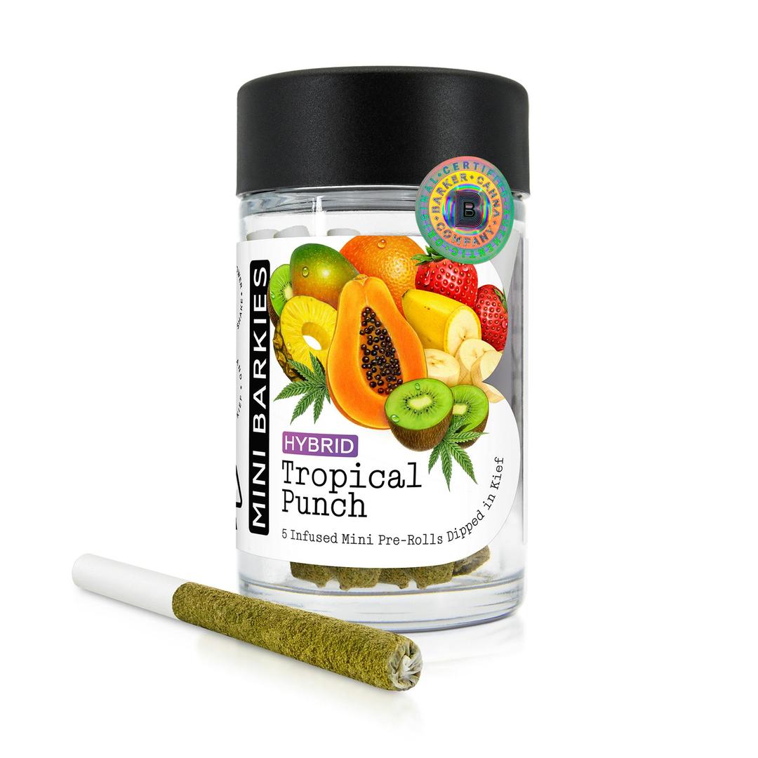 Tropical Punch Mini Barkie's